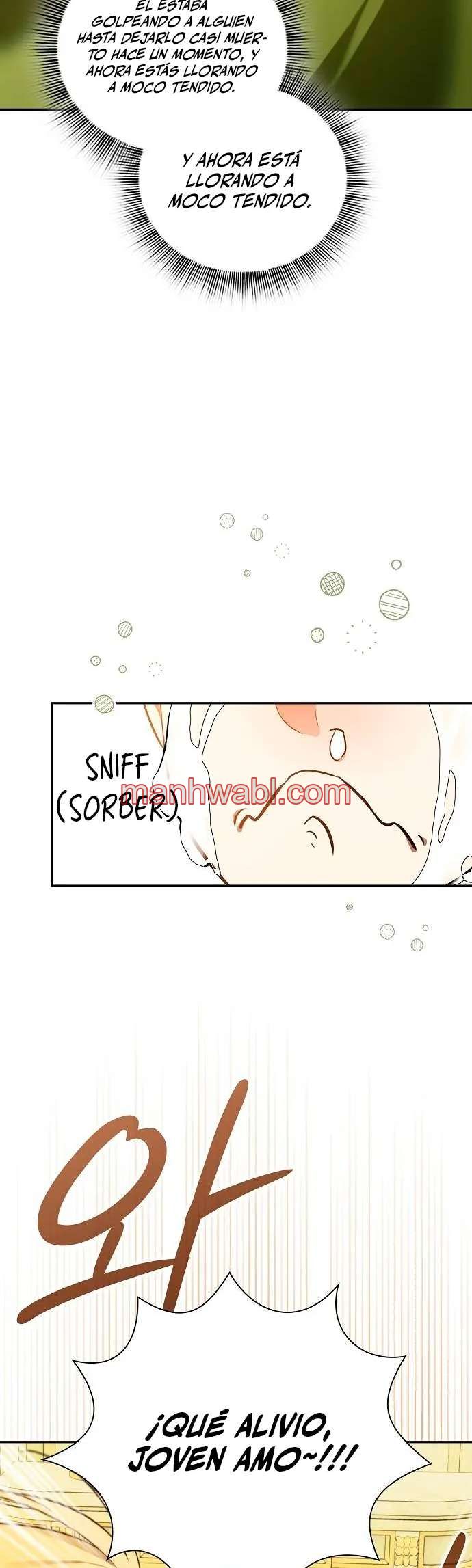 El Mercenario Que Reencarno Entre Aristocratas - Capítulo 2 manhwa