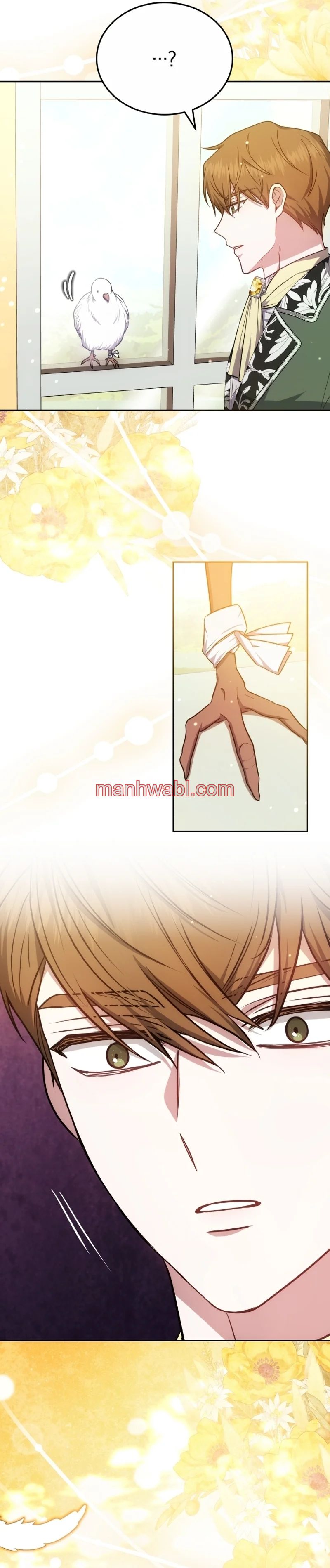 El Sobrino Del Protagonista Masculino Me Quiere Mucho - Capítulo 70_2 manhwa