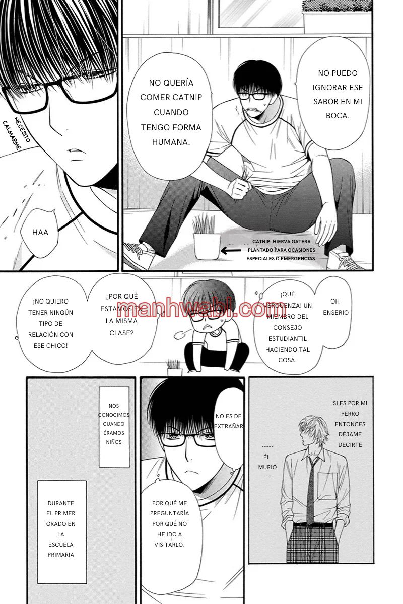 NEKO NEKO DARLING - Capítulo 1_3 manhwa