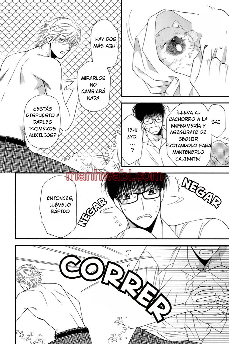 NEKO NEKO DARLING - Capítulo 3_3 manhwa