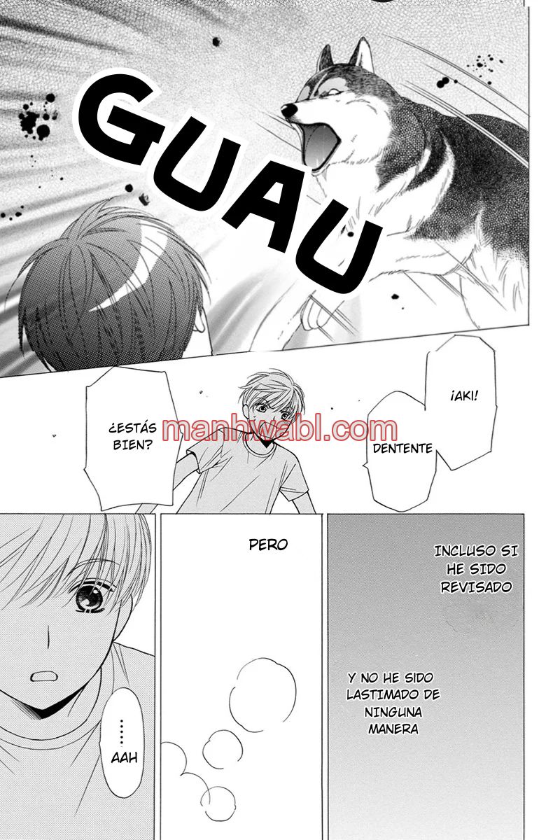 NEKO NEKO DARLING - Capítulo 4_3 manhwa