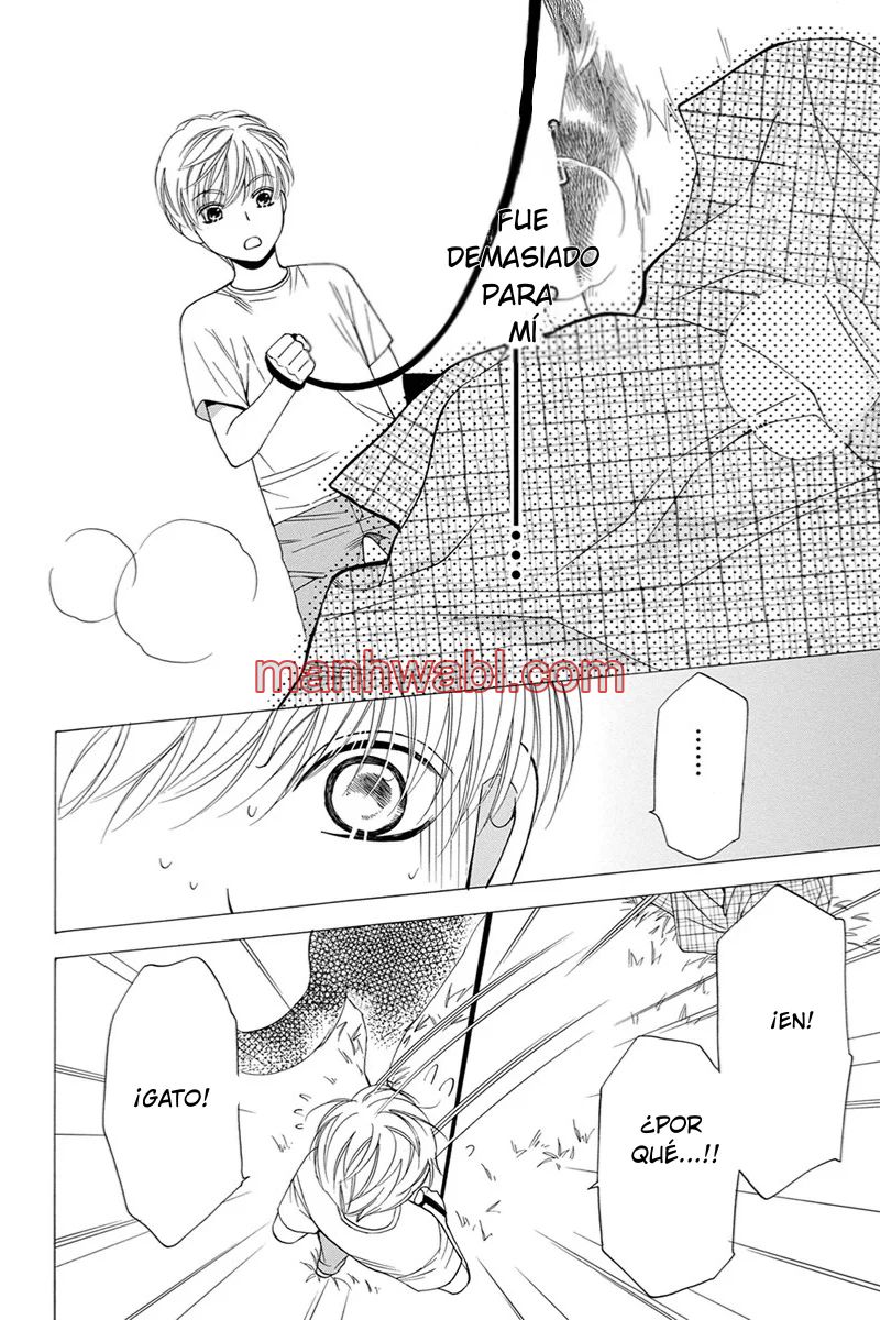 NEKO NEKO DARLING - Capítulo 4_3 manhwa