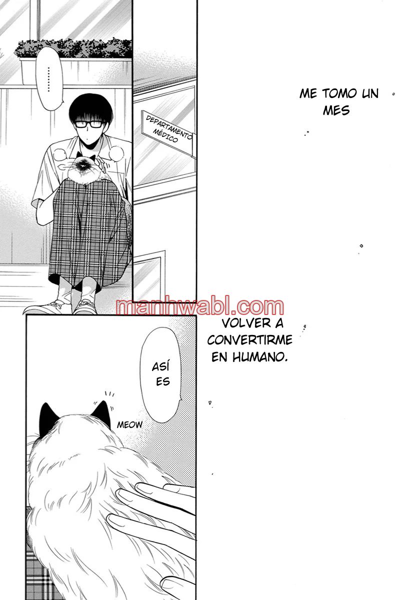 NEKO NEKO DARLING - Capítulo 4_3 manhwa