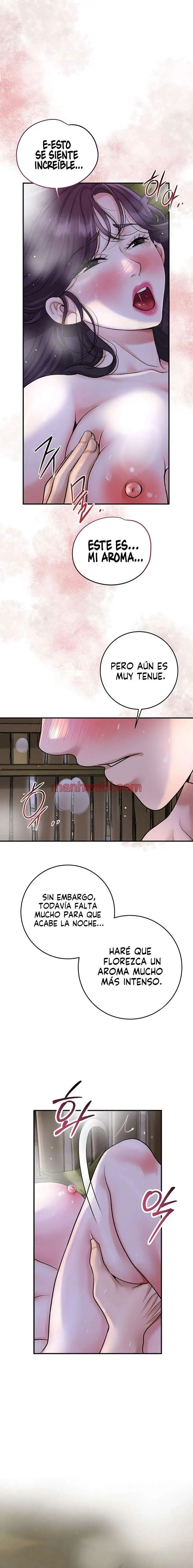 Una tienda Embriagadora - Capítulo 49 manhwa